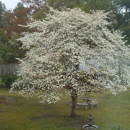 Bed and Breakfast Edenfield House Swainsboro Екстер'єр фото